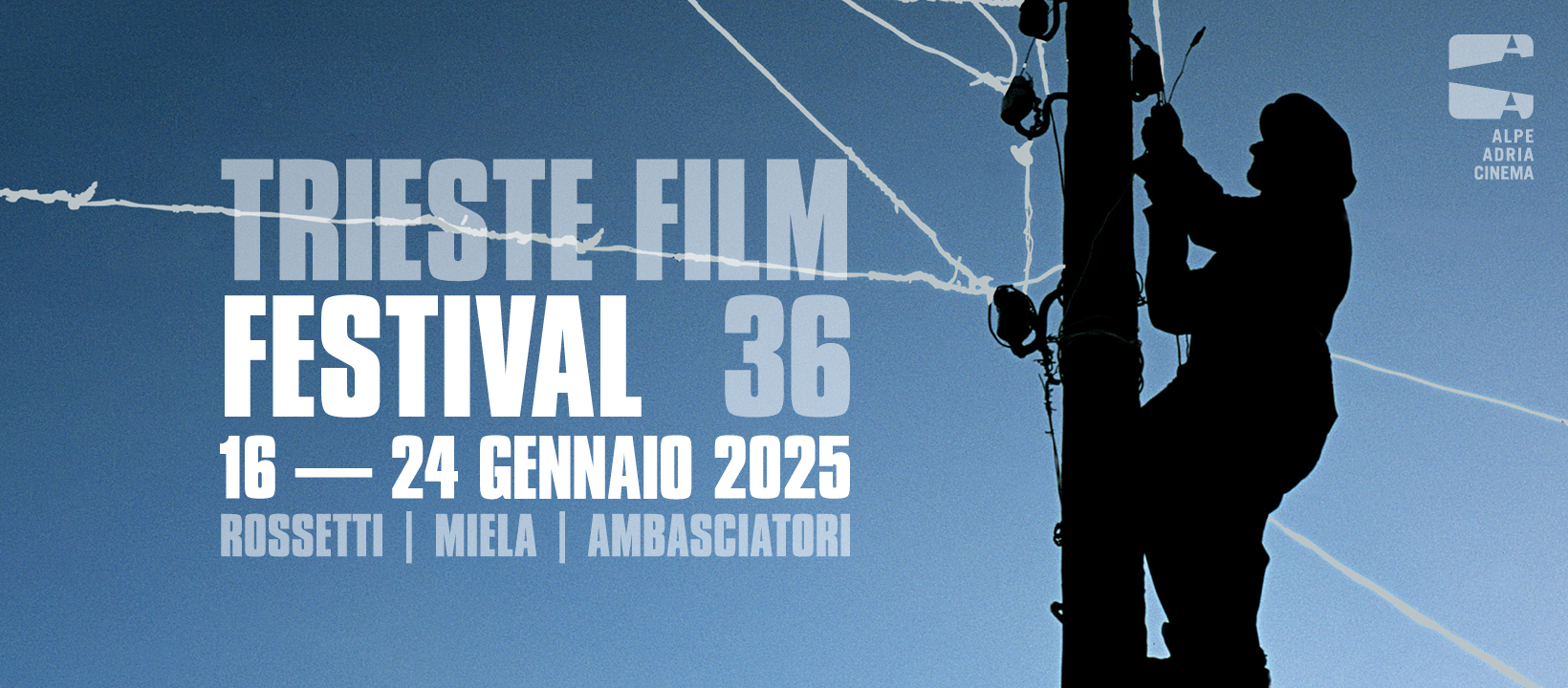 logo del trieste film festival